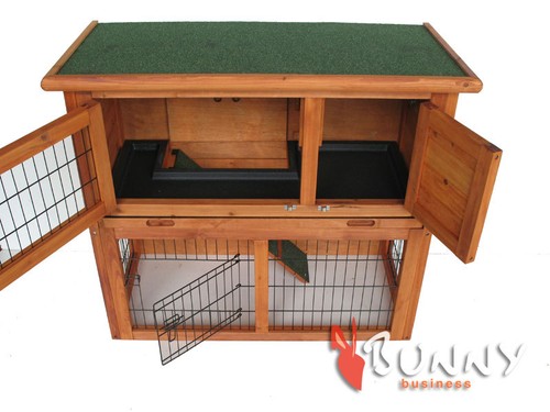 Rabbit guinea pig - /,