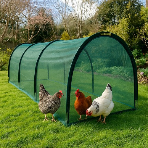3x1 5x1 chicken run coop - run,