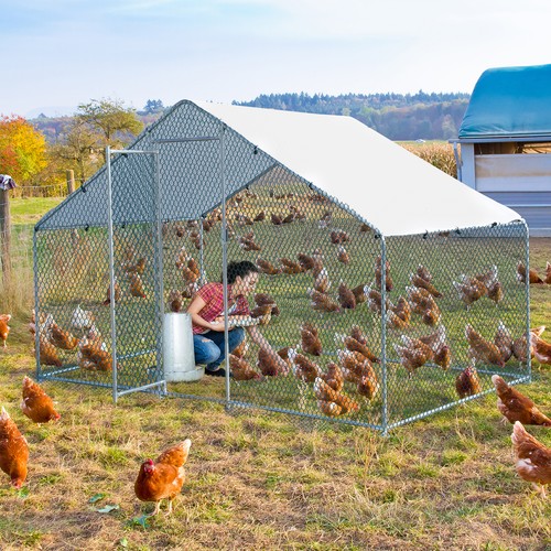 Metal chicken run cage - metal,