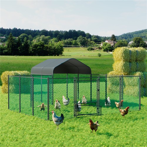 Heavy duty xxl chicken - duty,