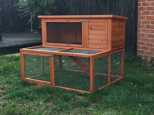 Rabbit guinea pig hutch - pig,