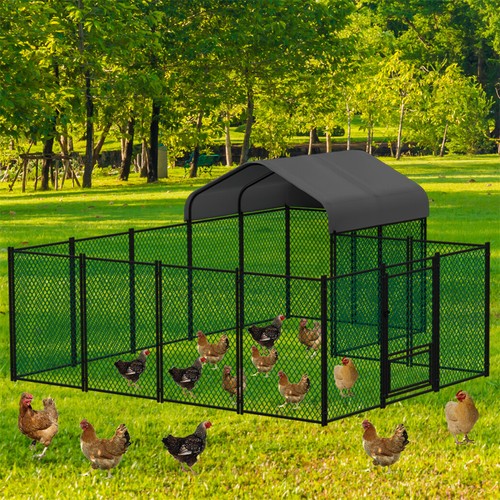 Walk chicken run cage coop - chicken,