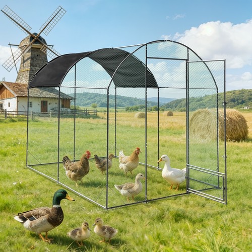 Xxl chicken run cage walk - xxl,