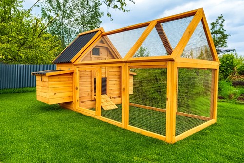 Eco600 chicken coop - eco600,