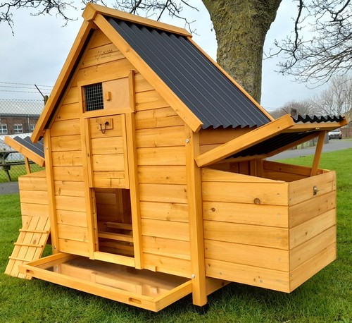 Eco 6002n chicken - 6002n,
