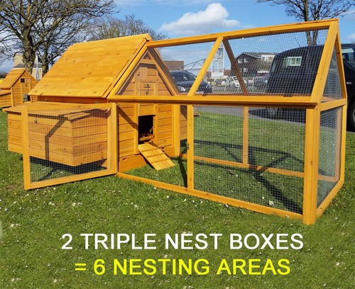 Large chicken hen house coop - chicken,