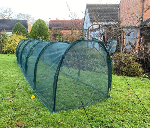 1m h chicken - 5m,