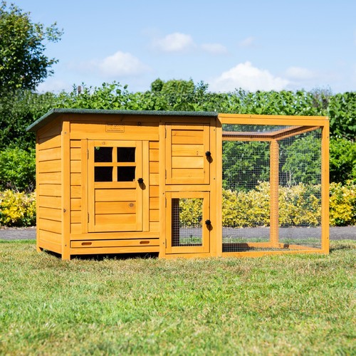 Chicken coop run - coop, hen