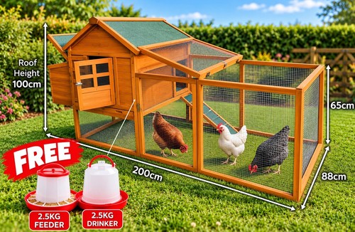 Large chicken coop run - large,