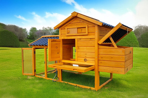 Chicken coop run - coop, hen