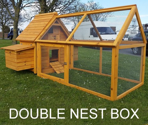 Chicken hen house - hen, coop