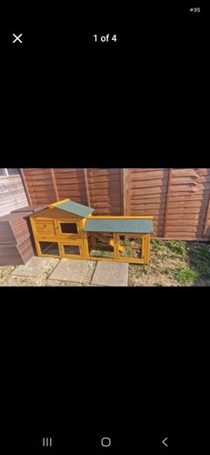 Small 5ft chicken - chicken, hen
