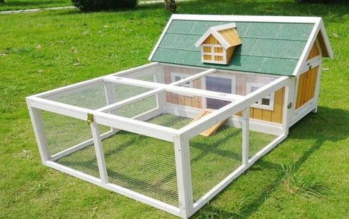Chicken coop plus - chicken,