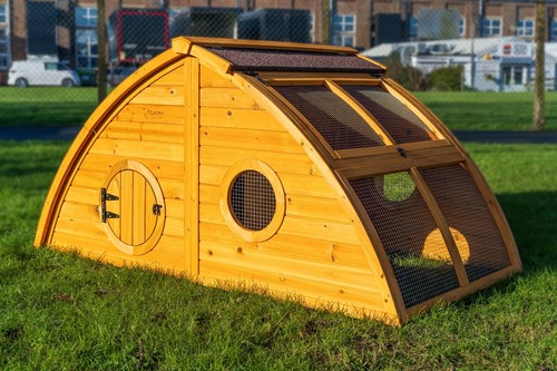 Large chicken coop - chicken,
