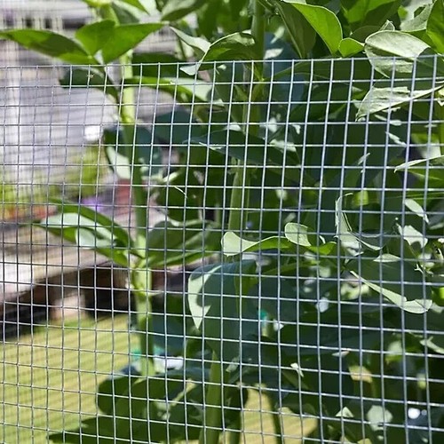 Galvanised welded wire - welded, mesh
