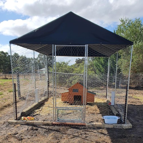 Chicken coop run hen - 4m, x